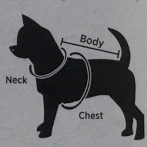 Novelty Pet Halloween Tee Medium "I'm So Cute Its Scary" Orange Dog Costume NEW - Picture 7 of 9